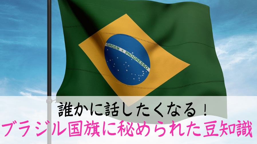 充実の品 N国旗 ブラジル No.2 W1350×H900mm 23380
