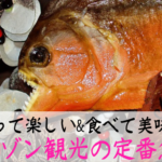 アマゾン川の巨大淡水魚 ピラルク 7つの特徴 食べると美味しいって本当 ぶらブラ