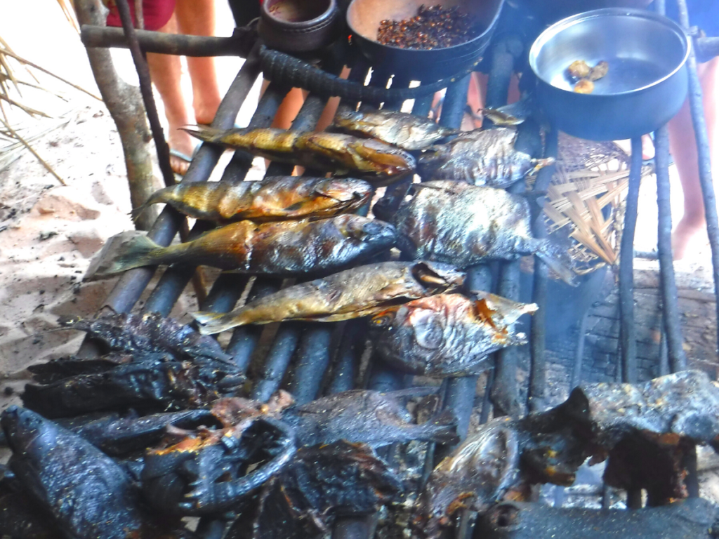 アマゾン川の魚5選!観光で食べられる巨大魚から危険種まで